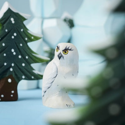 Snowy Owl