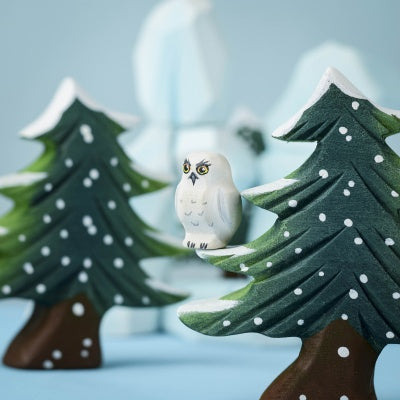 Snowy Owl Chick