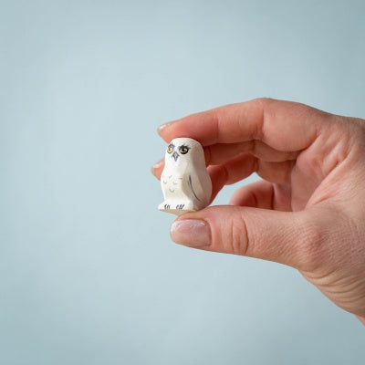 Snowy Owl Chick