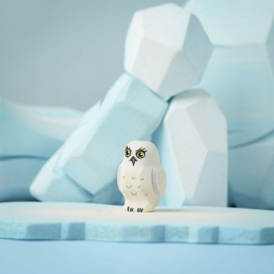 Snowy Owl Chick