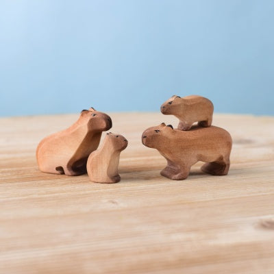 Capybara Set