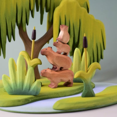 Capybara Set