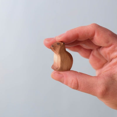 Capybara Set