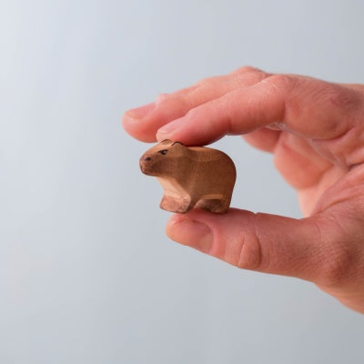 Capybara Set