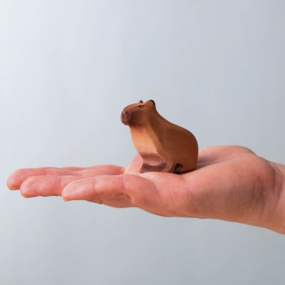 Capybara Set