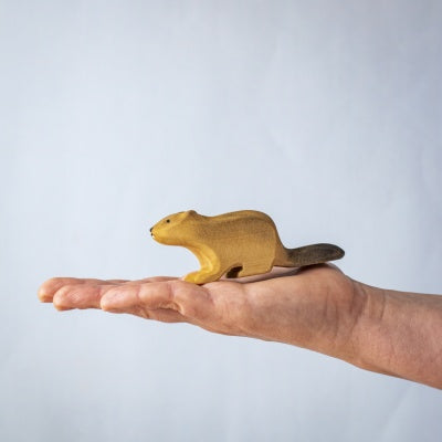 Beaver Family Set