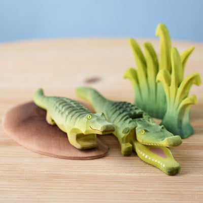 Crocodile Cove Set