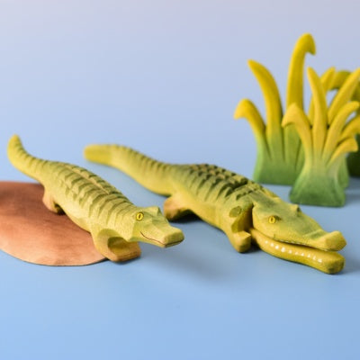 Crocodile Cove Set