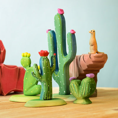 Cacti Set