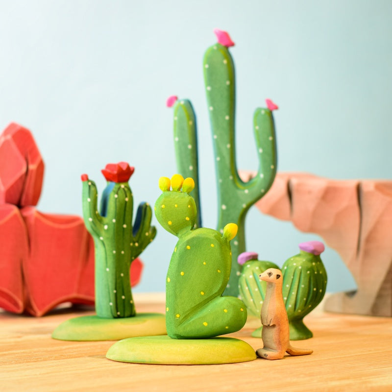 Cacti Set