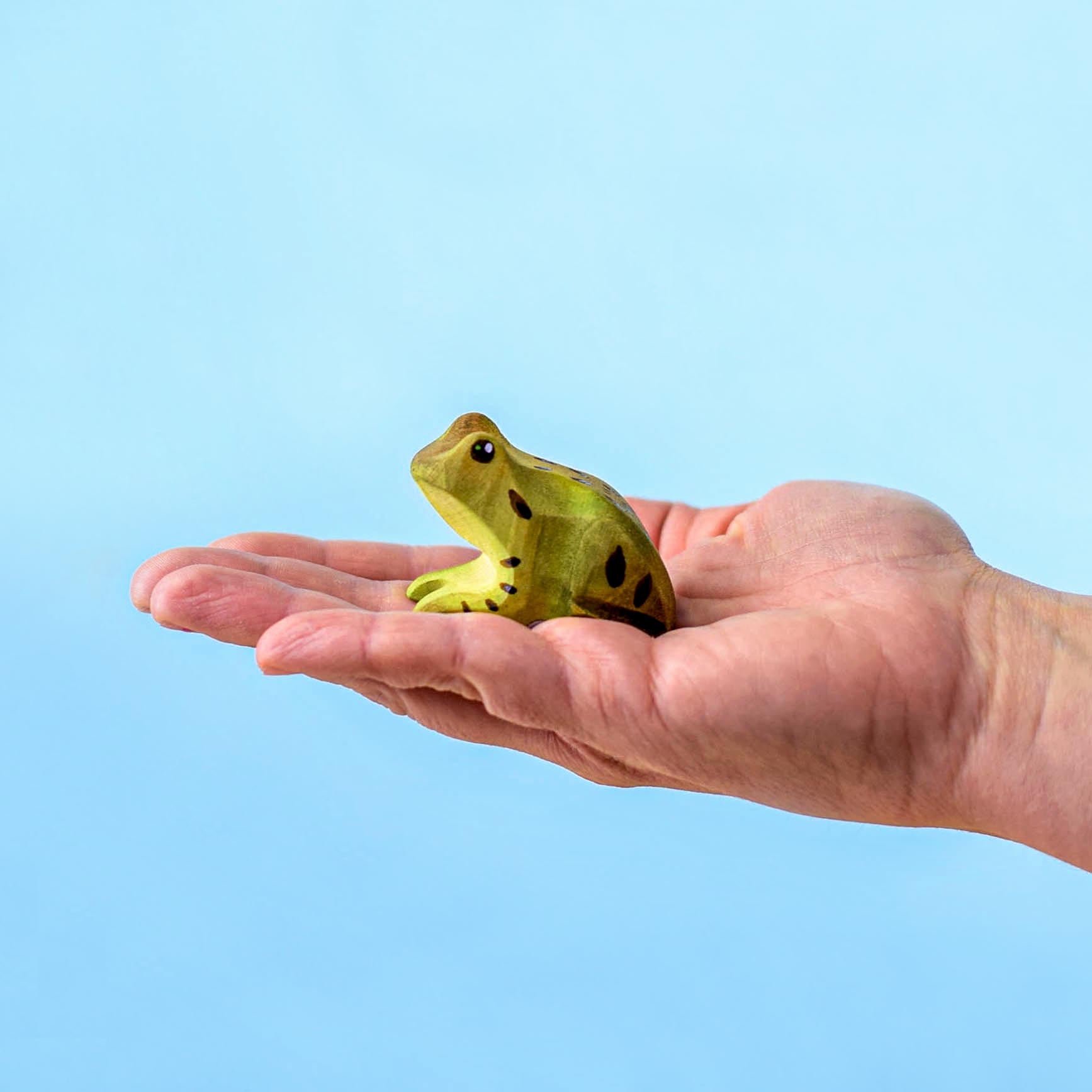 Frog Flying Pig Toys Frog flying pig toys