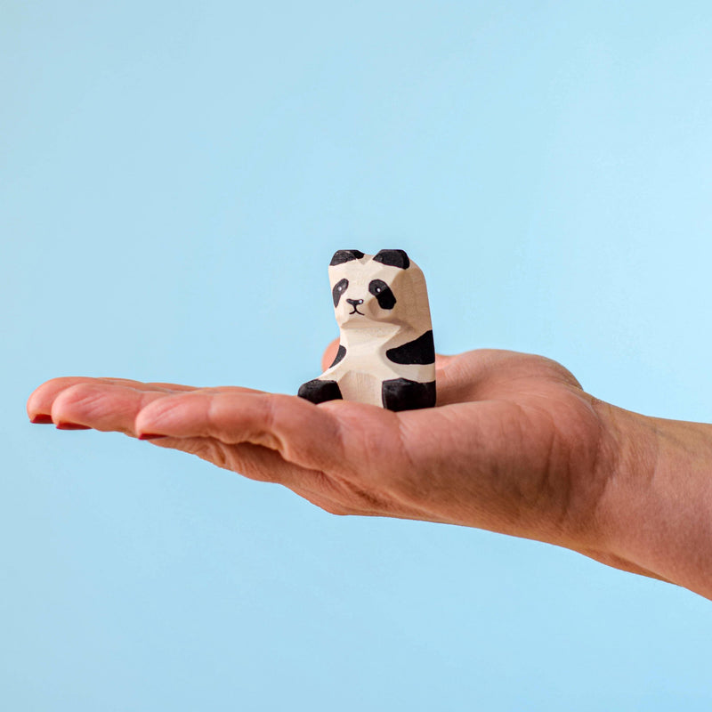 Panda Bear Cub Sitting