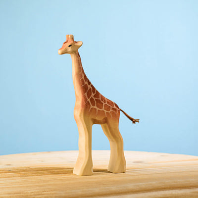 Giraffe Family Set