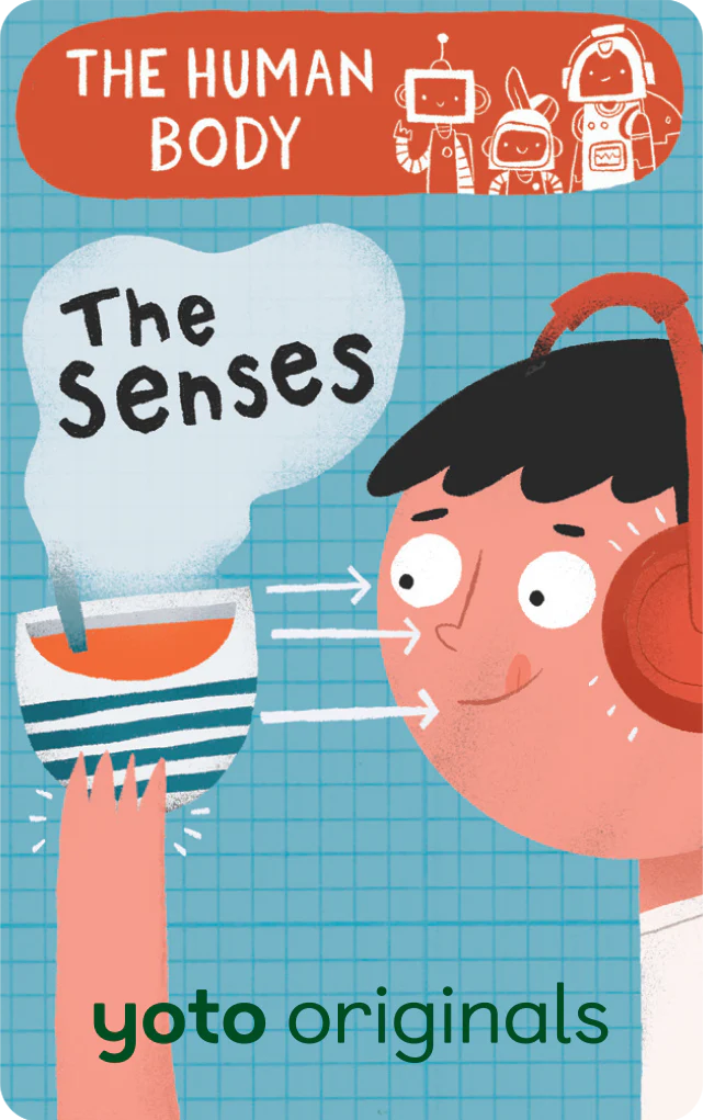 The Human Body: The Senses