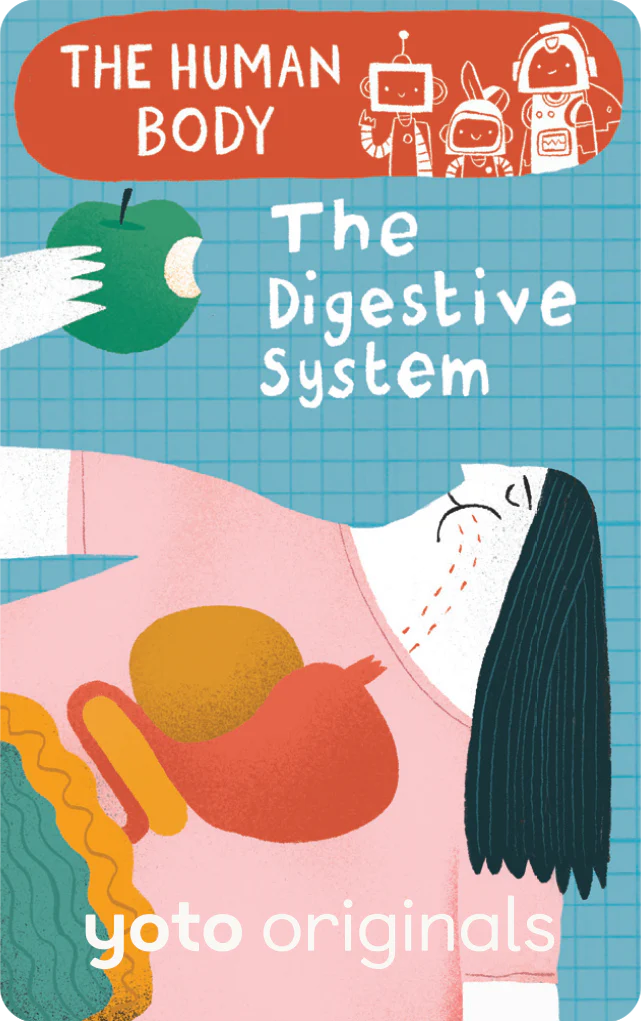 The Human Body: The Digestive System