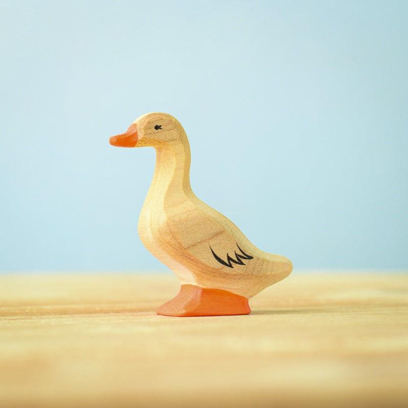 Duck, standing