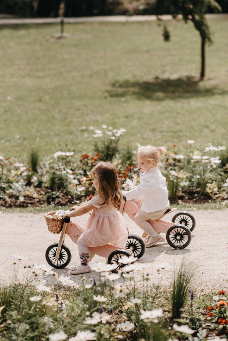 Tiny Tots Plus 2-in-1 Tricycle and Balance Bike, Rose