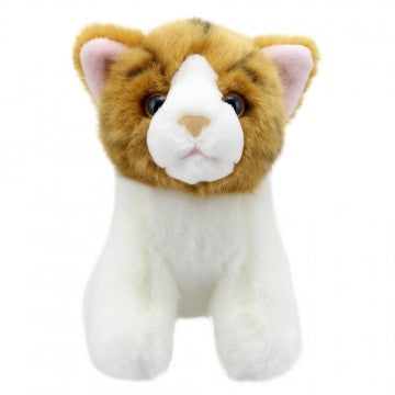 Wilberry Mini Cat Plush Toy - Ginger