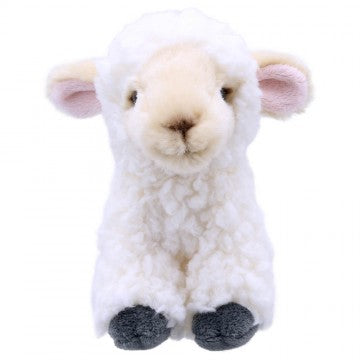 Lamb - Wilberry Mini Soft Toy