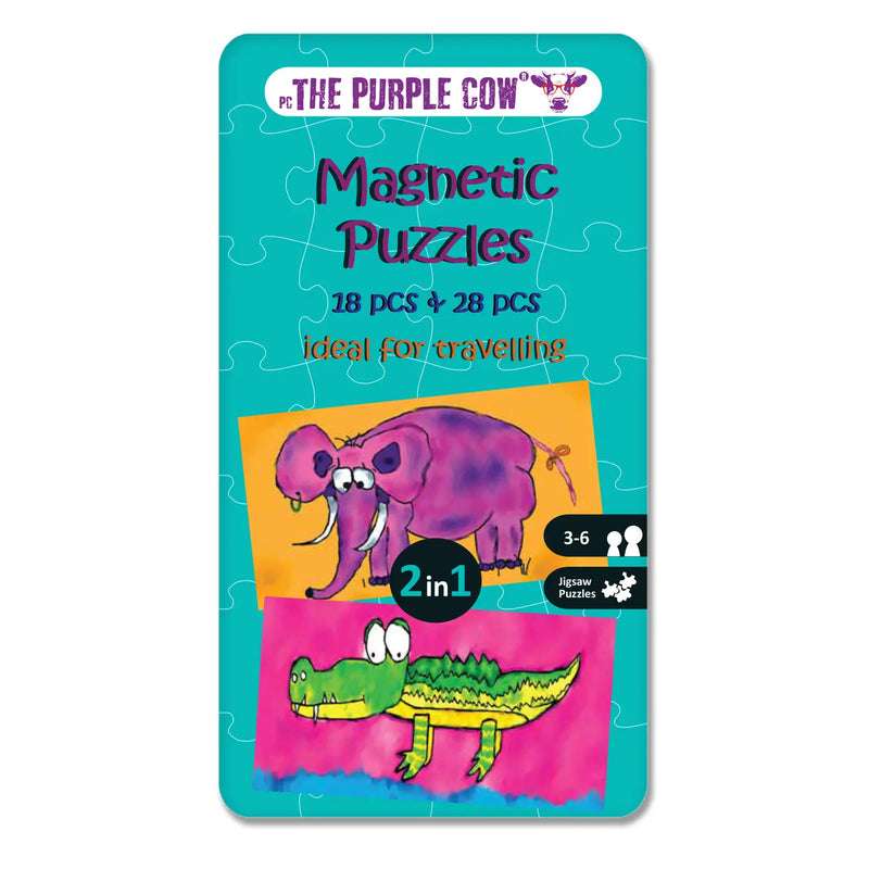 Magnetic Puzzles
