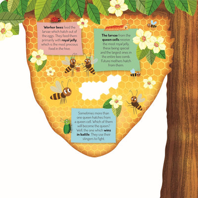 Discovering the Busy World of the Beehive