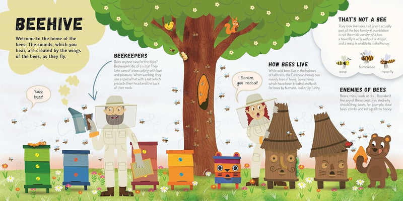 Discovering the Busy World of the Beehive