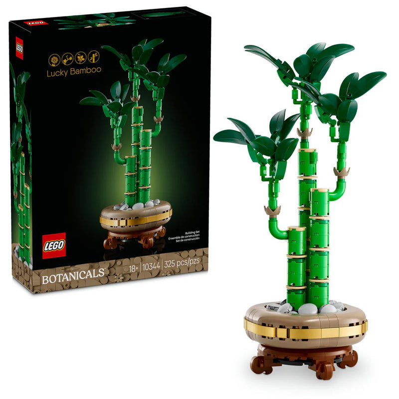 Lucky Bamboo 10344