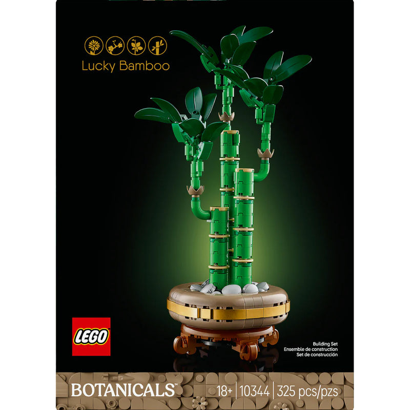 Lucky Bamboo 10344