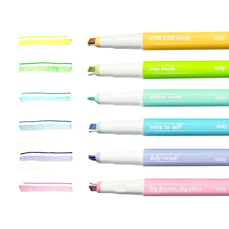 noted! 2-in-1 micro fine tip pen and highlighters - set of 6 – Flying Pig  Toys