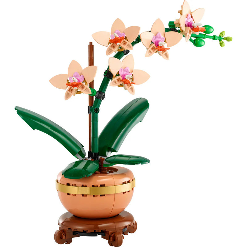 Mini Orchid 103443