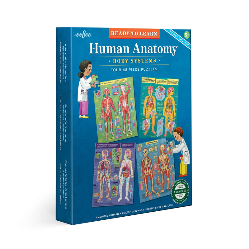 Ready to Learn - Human Anatomy 4-Puzzle 48 Piece Set