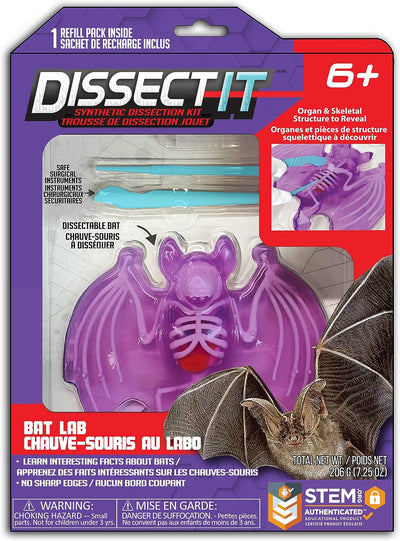Dissect-It Synthetic Dissection Kit - Bat