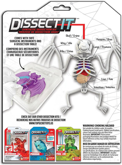 Dissect-It Synthetic Dissection Kit - Bat