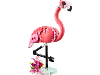 Wild Animals: Pink Flamingo