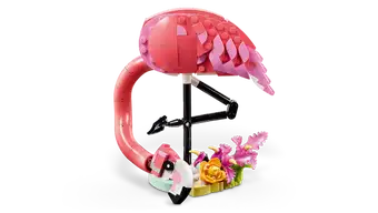 Wild Animals: Pink Flamingo