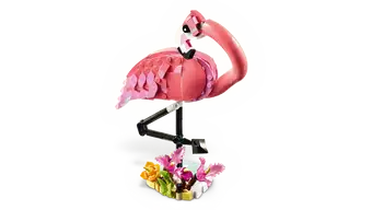 Wild Animals: Pink Flamingo