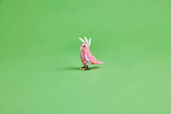 Wild Animals: Pink Flamingo