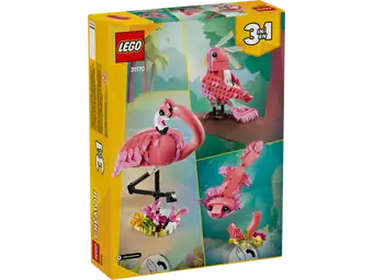 Wild Animals: Pink Flamingo