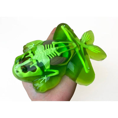 Top Secret Toys Dissect It - Frog Nature Exploration Toy