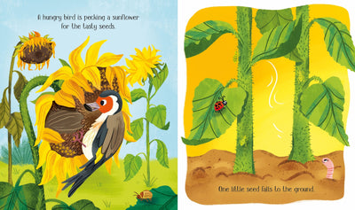 One Little Seed