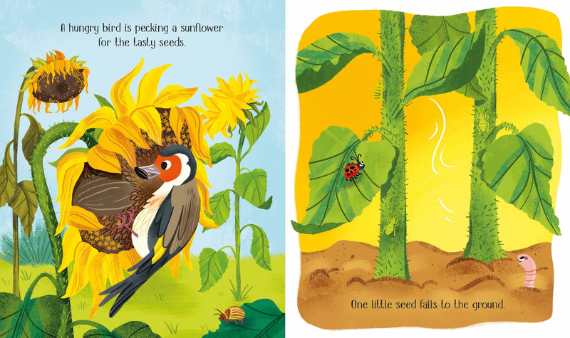 One Little Seed