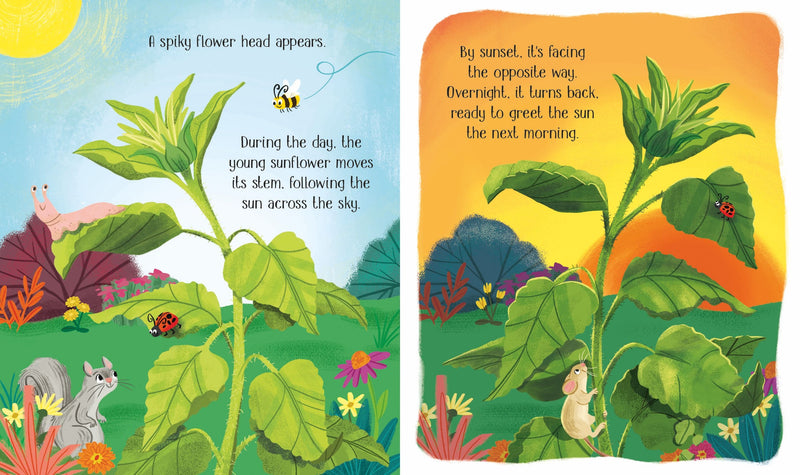 One Little Seed