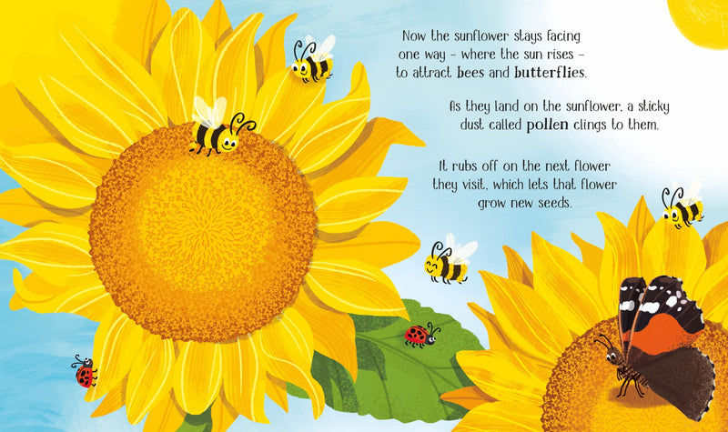 One Little Seed