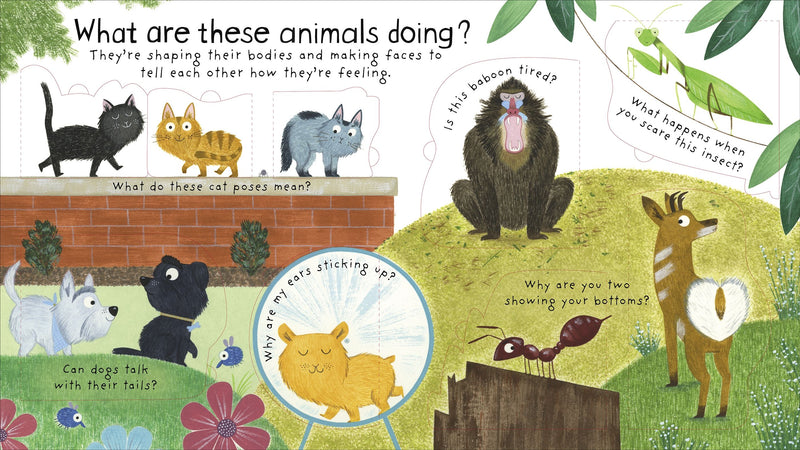 First Questions and Answers: How Do Animals Talk?