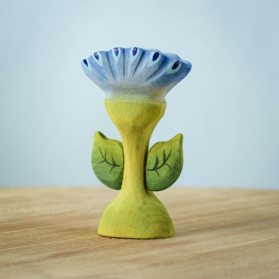 Spring Flower—Flama