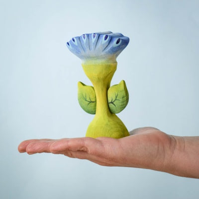 Spring Flower—Flama