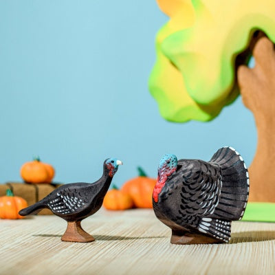 Turkey Hen