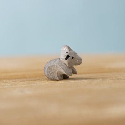 Koala Cub