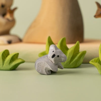 Koala Cub