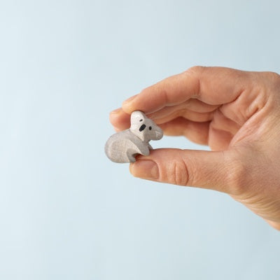Koala Cub